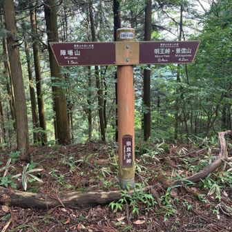 奈良子峠。