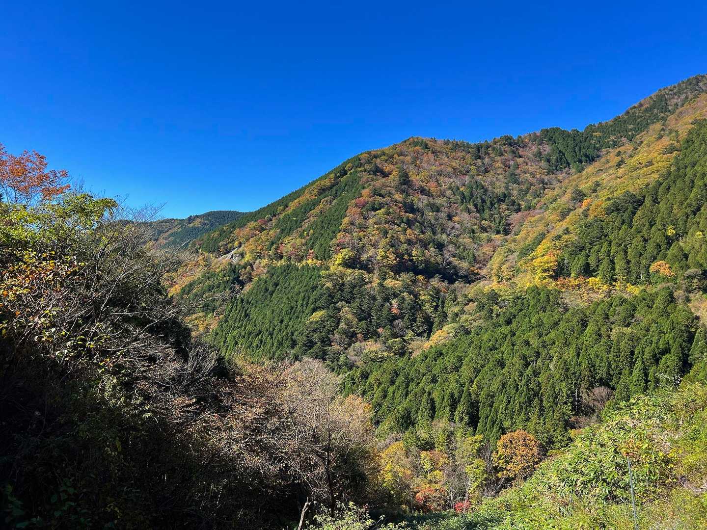 駐車場に戻って来ましたが、もうちょっと歩きたいので寺田小屋山にも行ってみます。