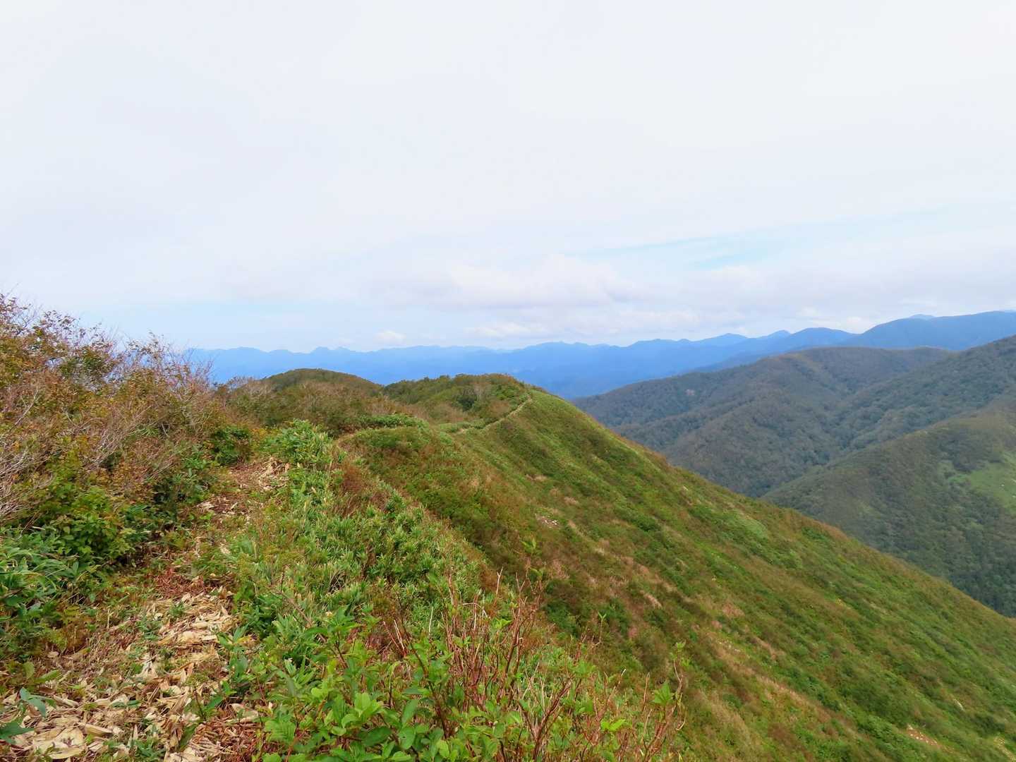 
杢蔵山山頂から一杯森へと続く登山道。
YAMAPでは破線になっていますが、刈払いの跡があり驚きました。
下見でほんのちょっとだけ行ってみました♪
歩きたいなぁ!!
東側は切れ落ちているので慎重にでした⚠️
