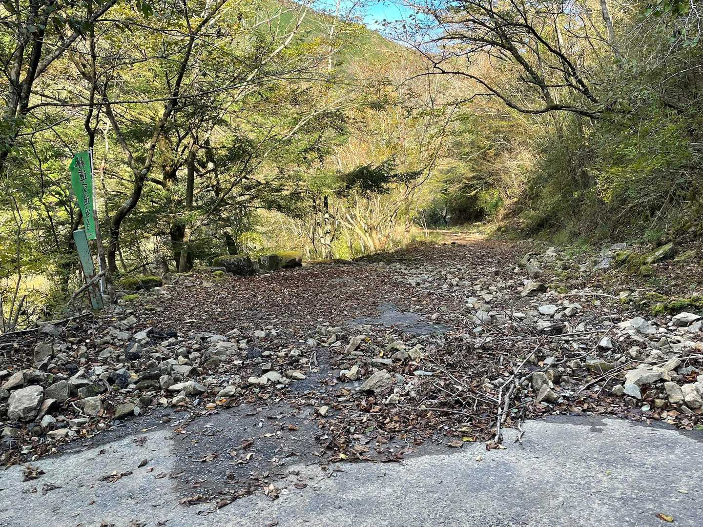さてここから長い林道歩きです🥾
