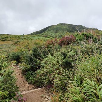 赤兎山までの帰りは、アップダウンがけっこうあるんですよねぇ〜😅
