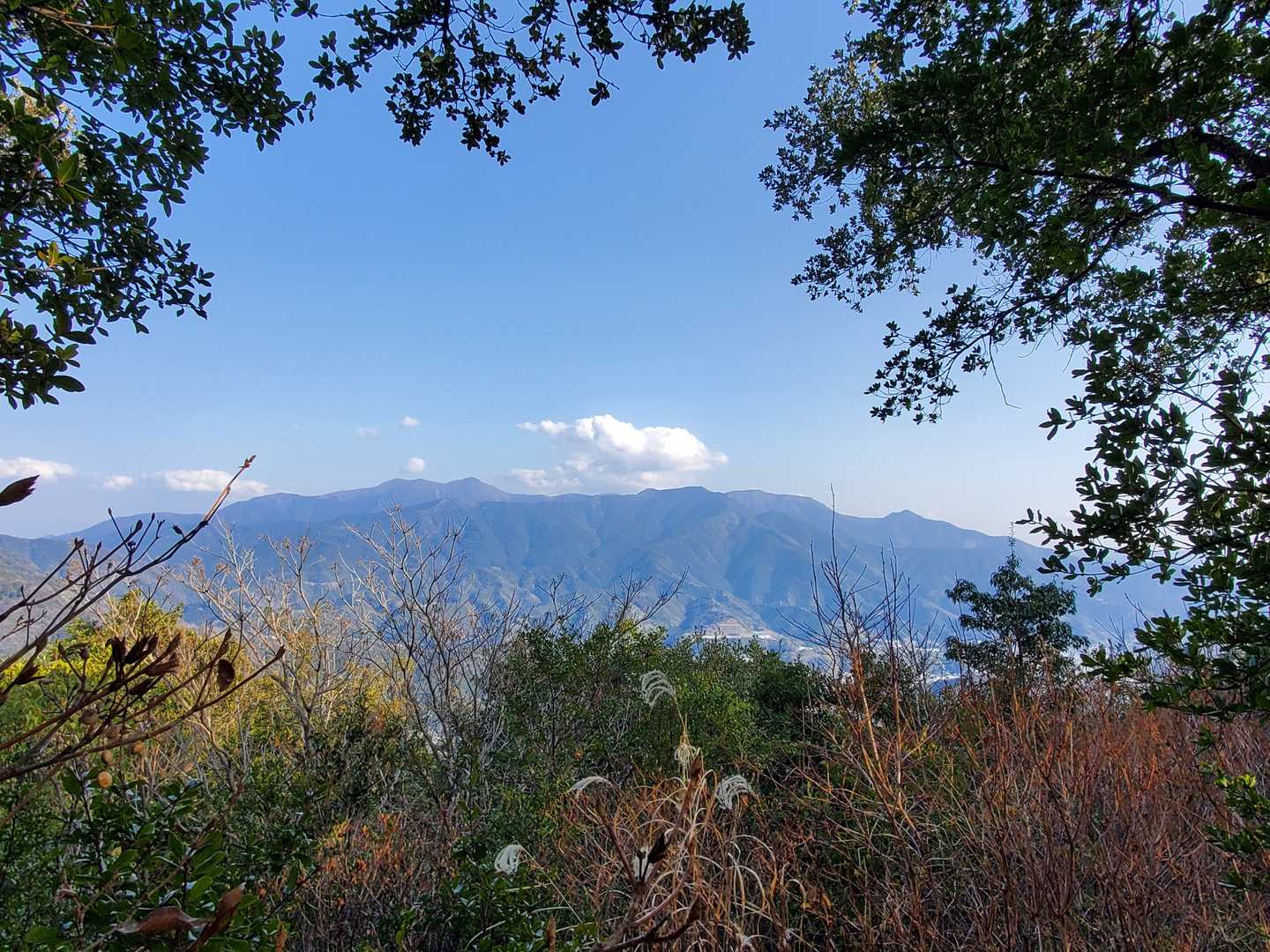 槇ノ山の写真