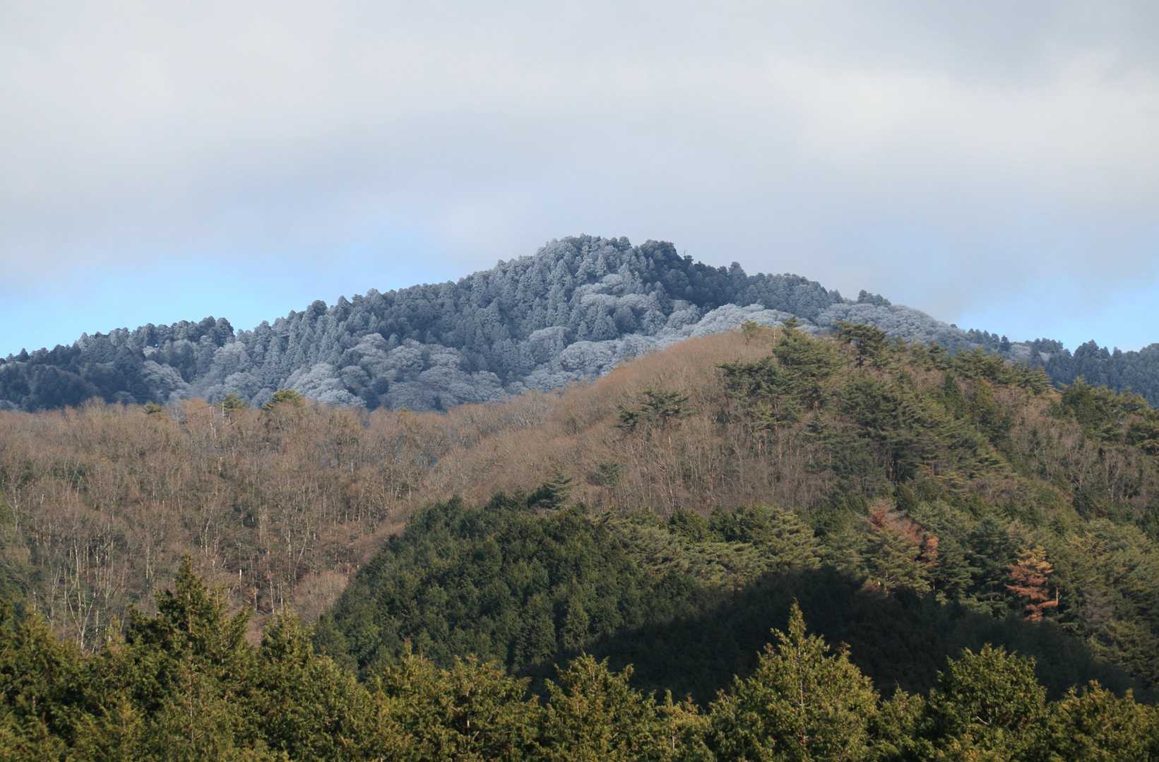 金剛山方向
霧氷が出ています
