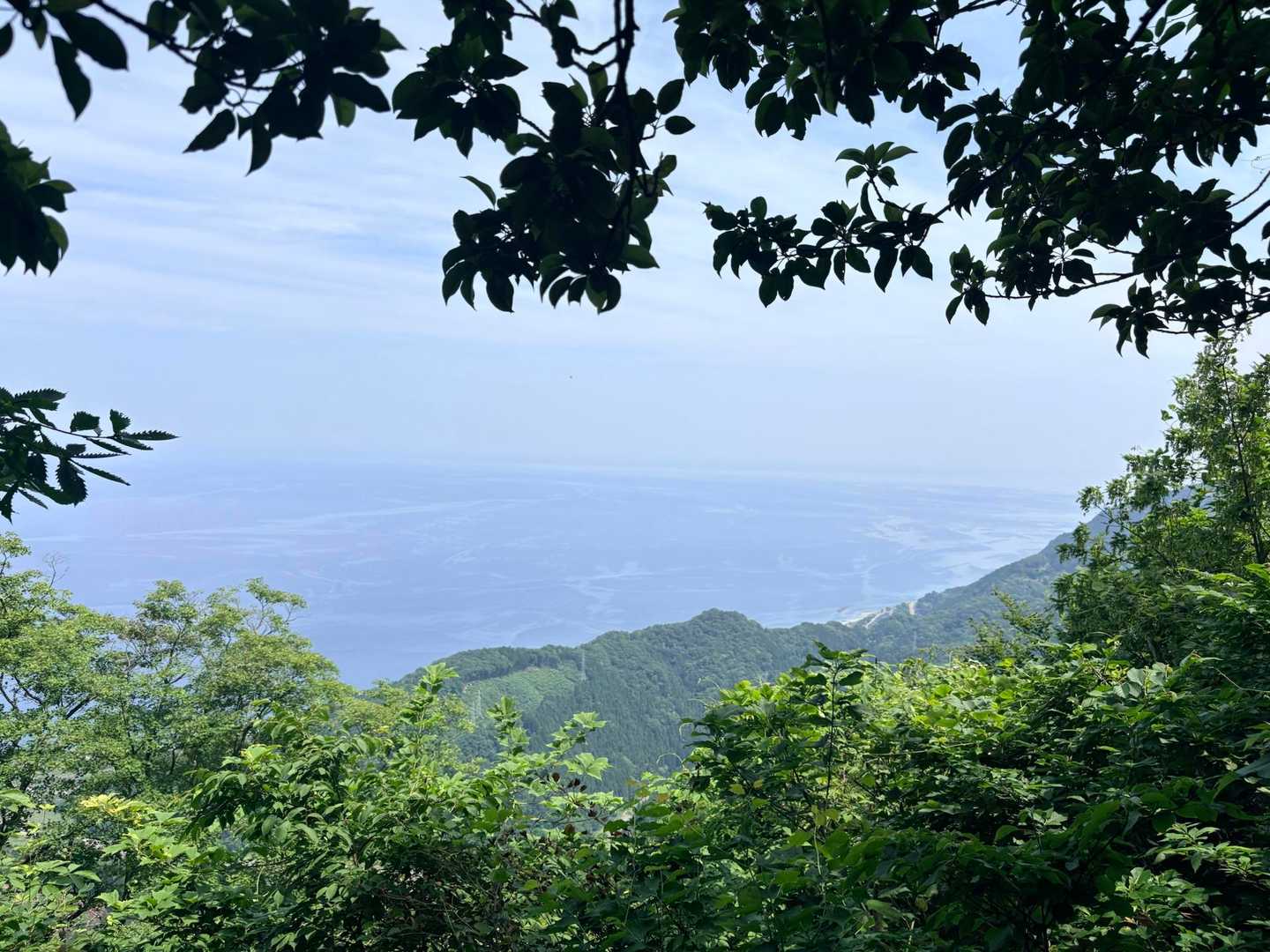 海流が見えた