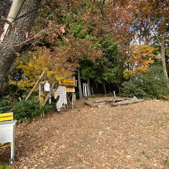 山頂はこんな感じ