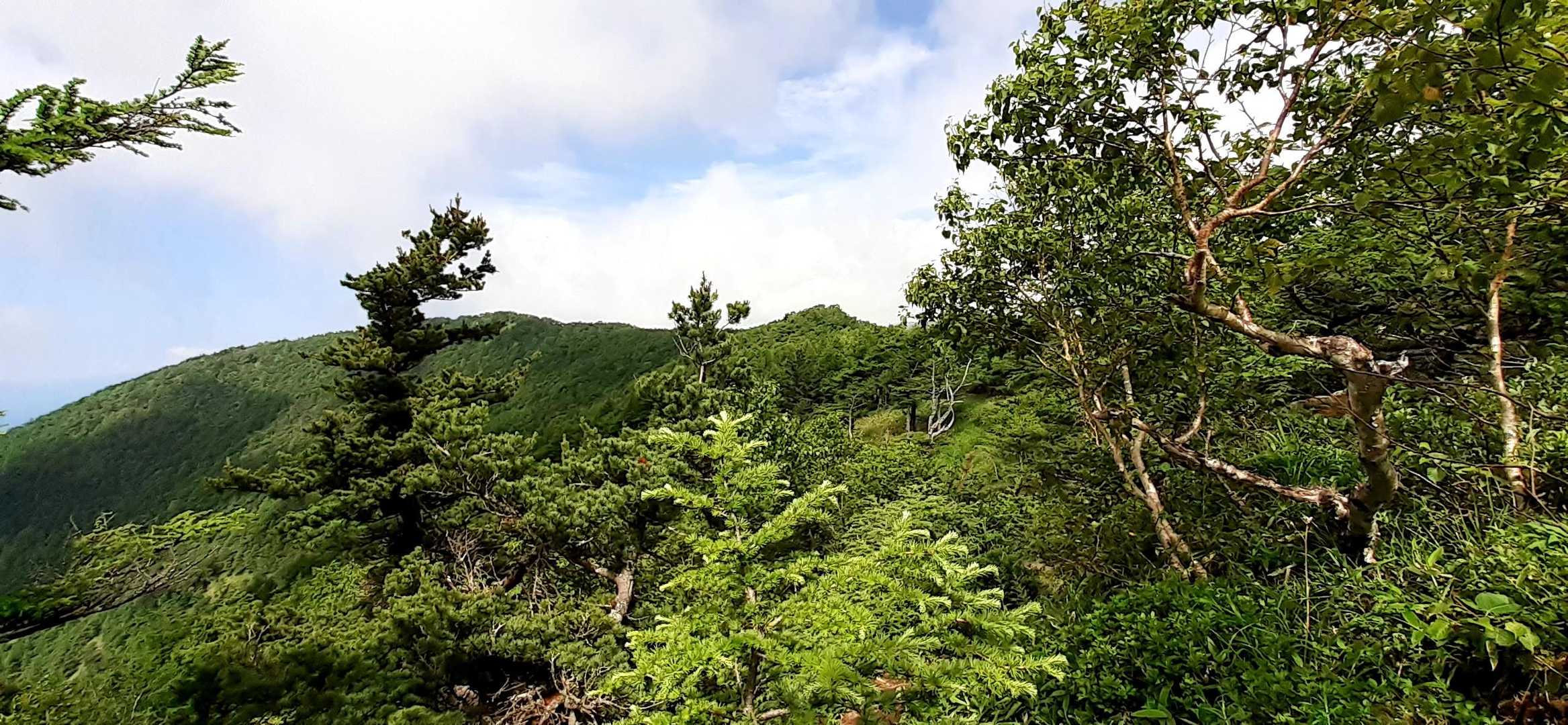 あのとんがりが高峰山？
風がすごく気持ちいい💕