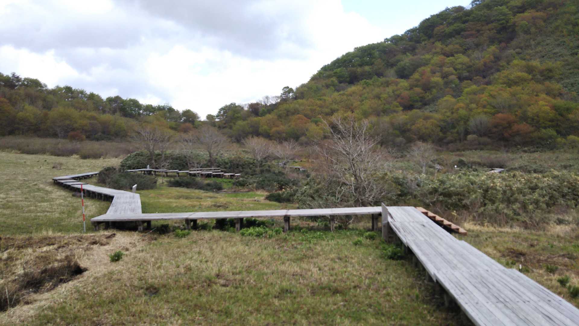 湿原