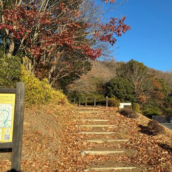 ここから山道へ