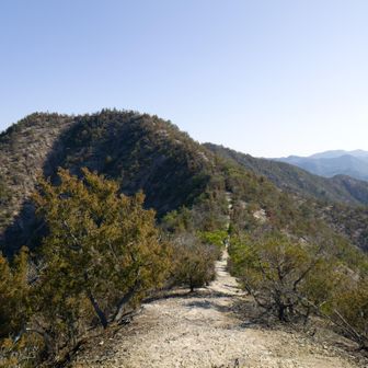 きれいな縦走路