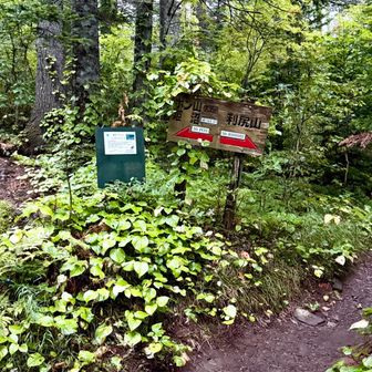 ←ポン山｜利尻山→
