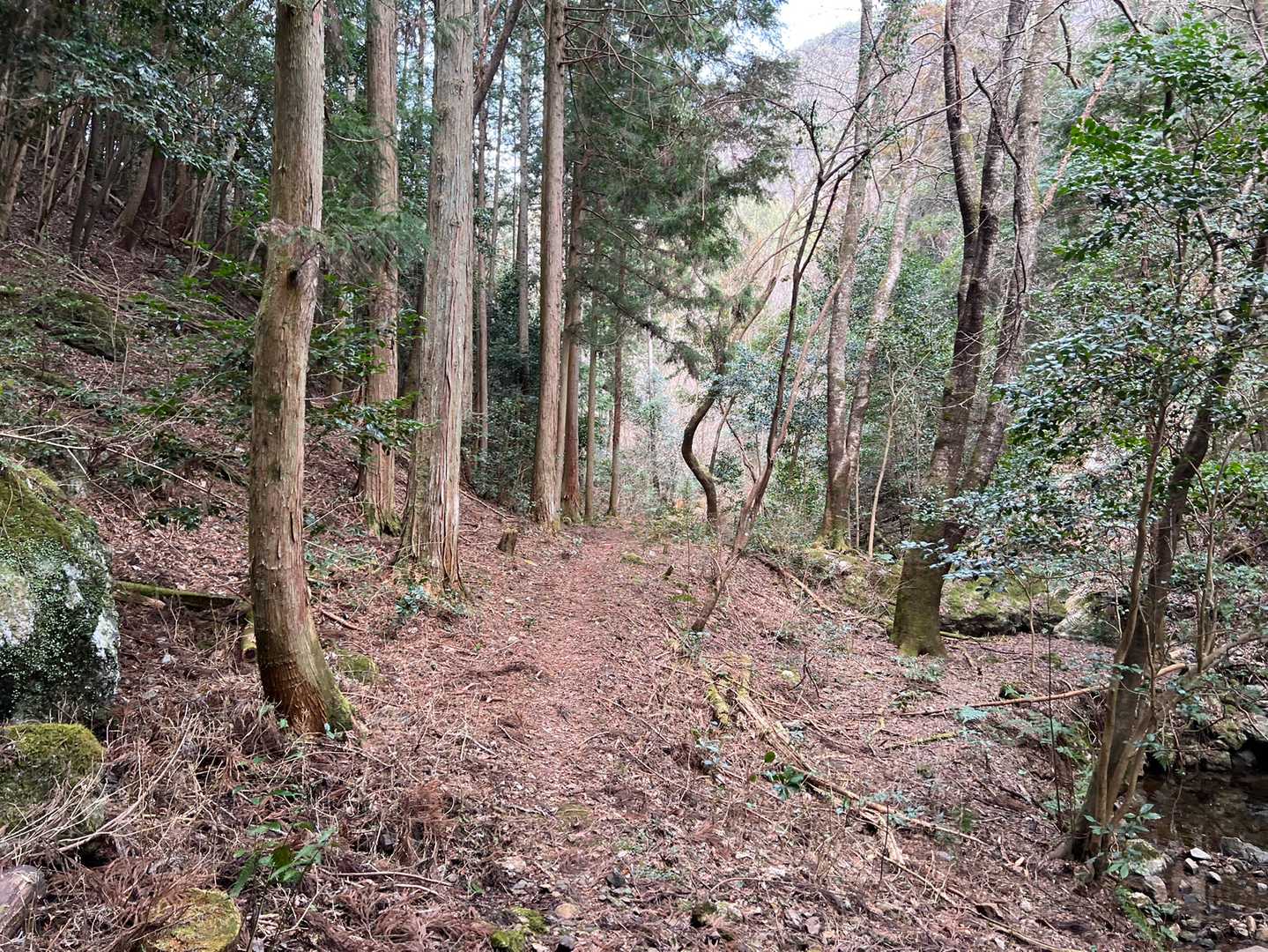 岩のエリアを抜けて、いい道やねー