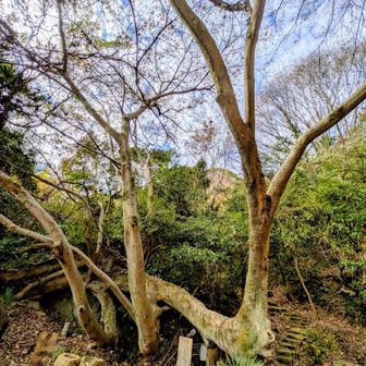 やまじょう、、、、🧐読めなかった😯💦