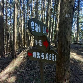 経ヶ塚山でお昼休憩の後💕音羽山へ向かいました。