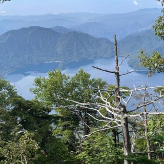 かなり登りました