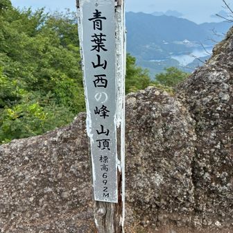 写真に撮ると消されてる“の”が浮かび上がってる😳