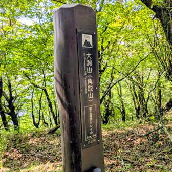 おおぼらやま