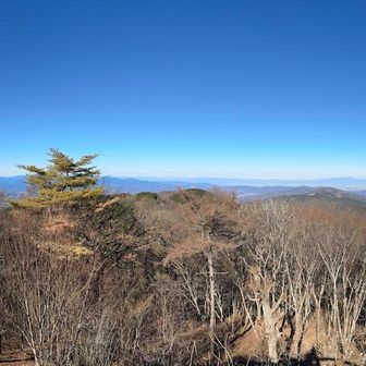 展望台からのパノラマ写真