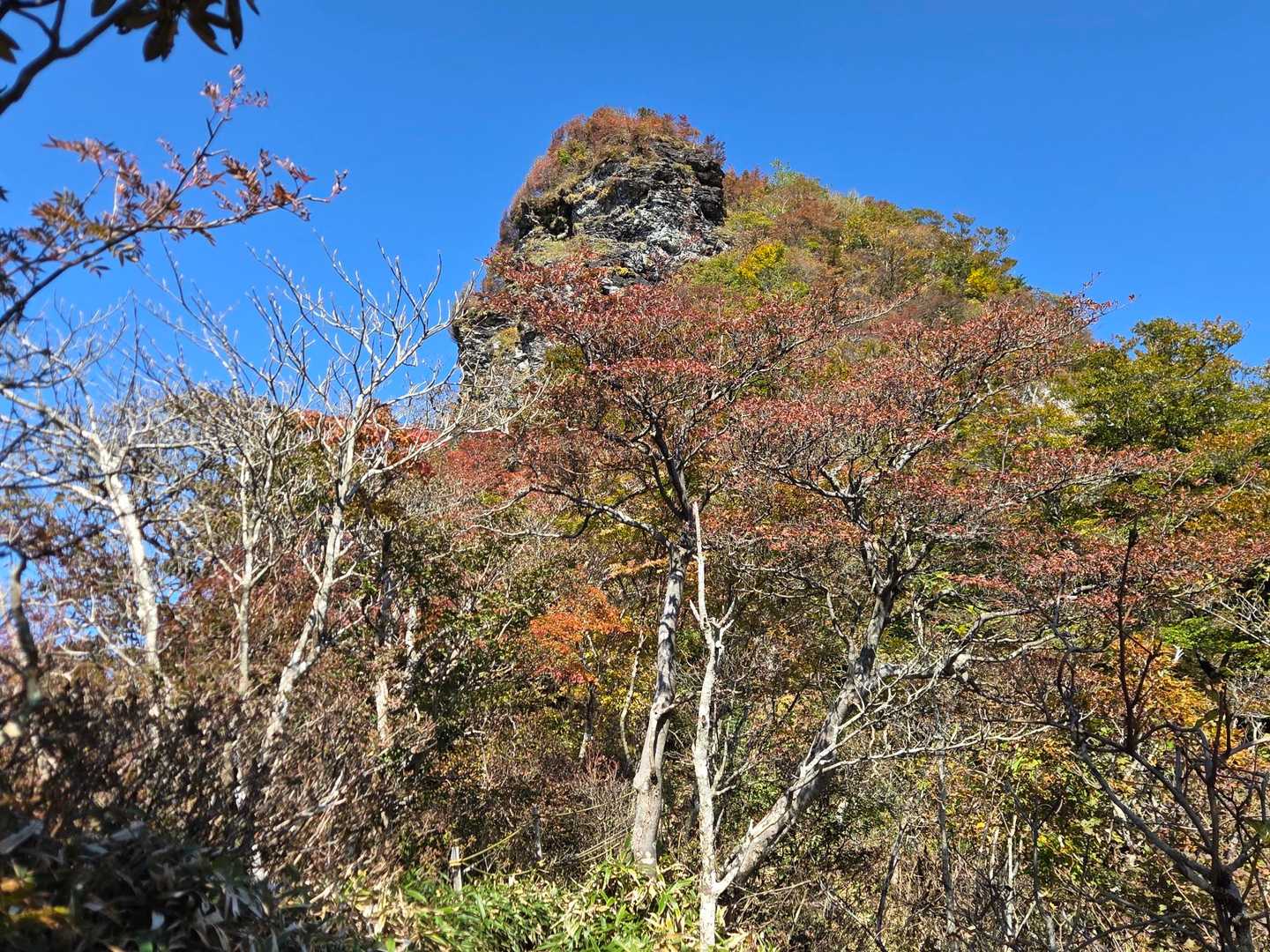 紅葉も始まり綺麗です🤩