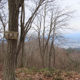 以前より山頂からの展望が良くなった😀
