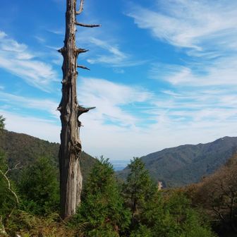 杉峠
まわりには、
御在所岳、雨乞岳などが間近に見えます