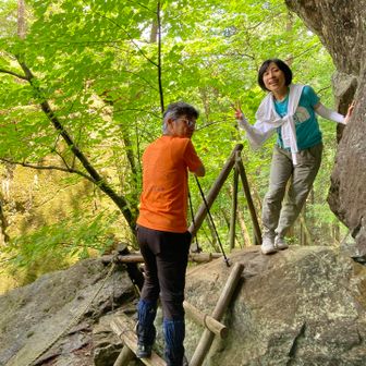 🟩がすごくきれいです
ここは屋久島？