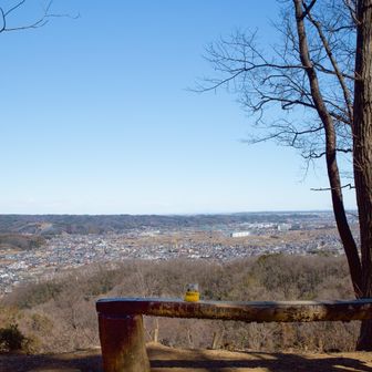網代弁天山・網代城山 ベンチあり展望あり