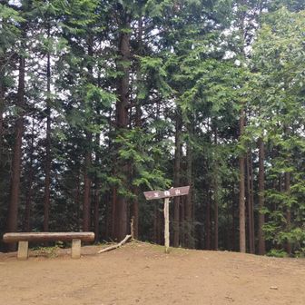 五輪山のベンチ