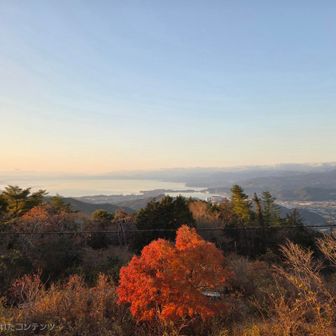 展望台から望む浜名湖🌊
※電線消去済み