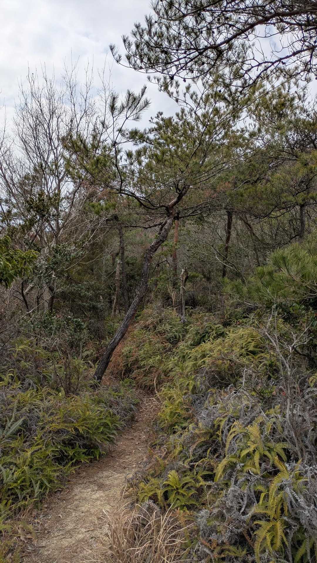 いい感じの道👍