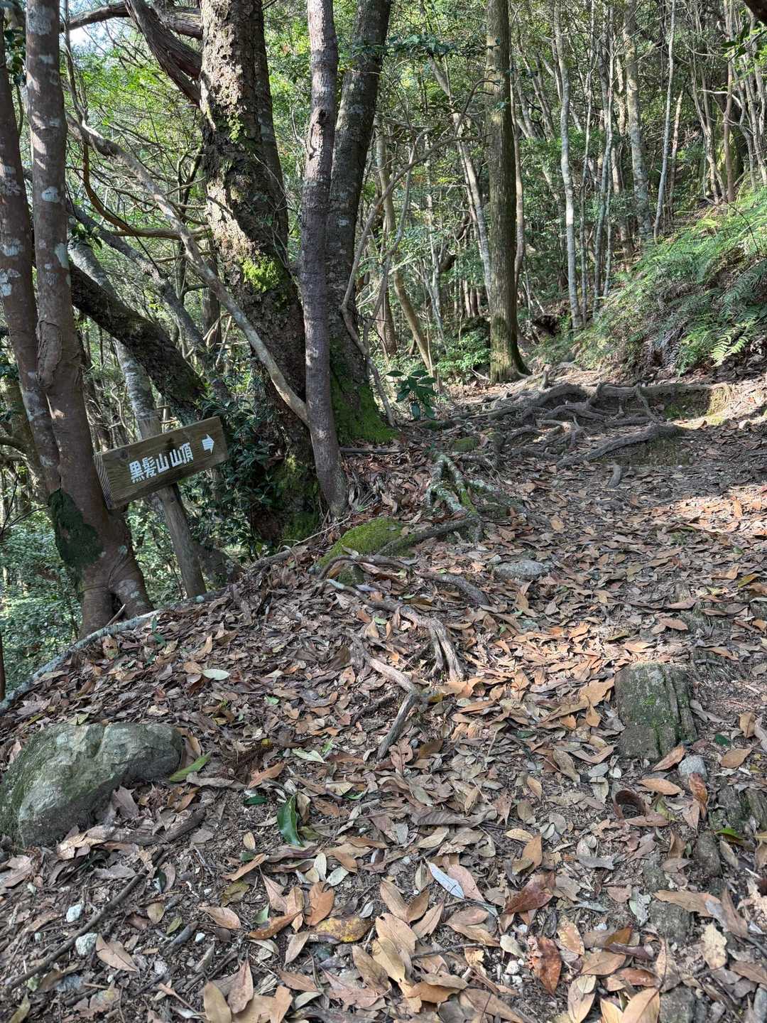 もうすぐ山頂だ！