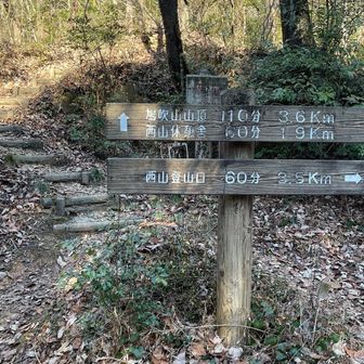 鳩吹山までが思ったより遠かった