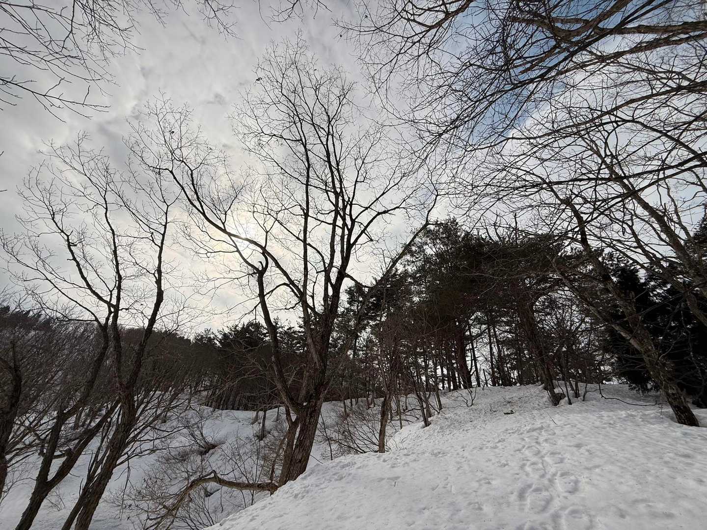 尾根みたいなとこ進む