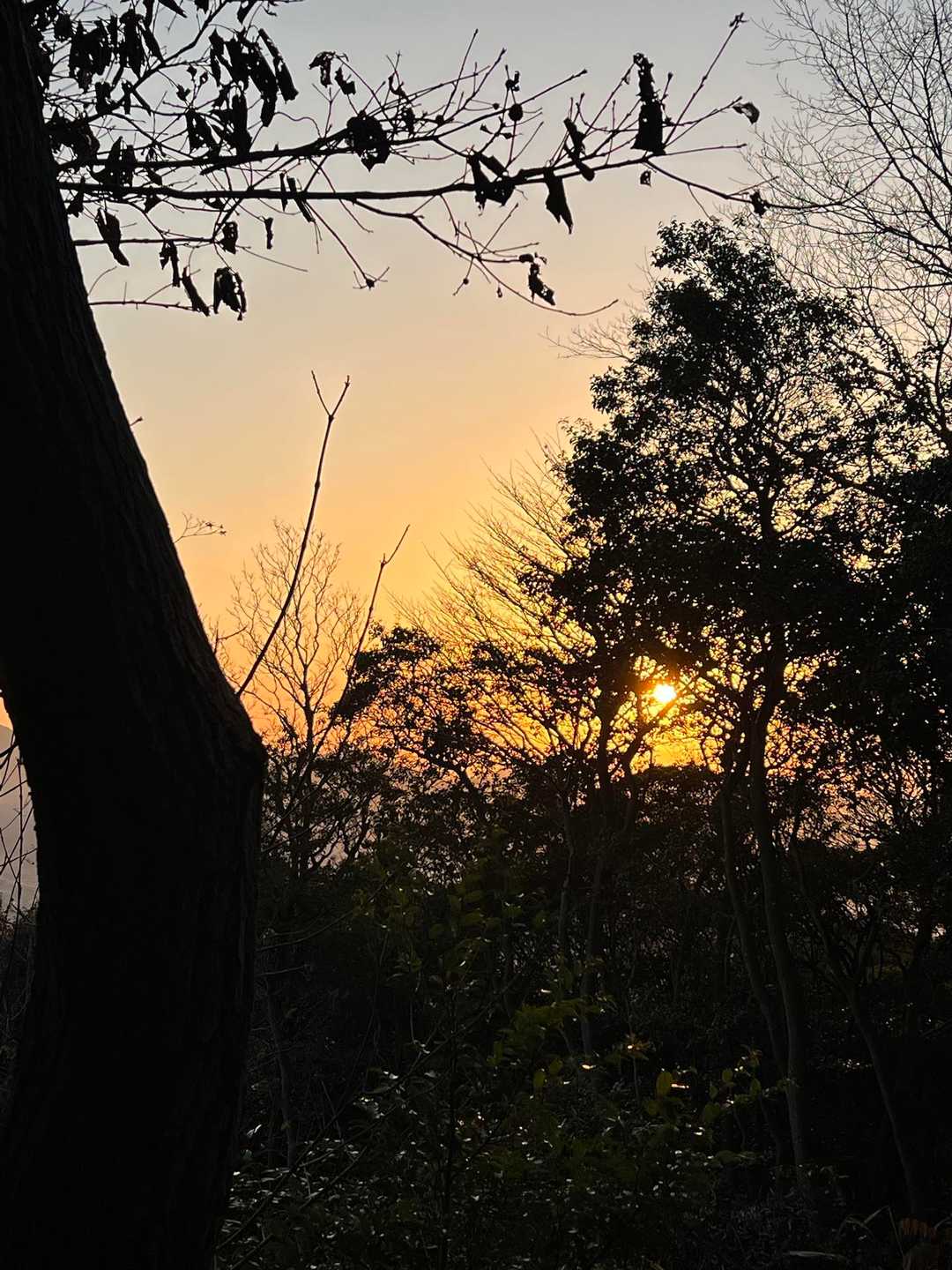 山頂から日の出🌅
ここは寒かったから少し先の開けた場所へ。