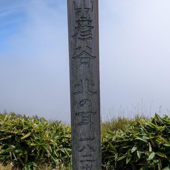 山彦谷北の耳（1829m）
ヤッホ〜と叫んでみたけれど😁👂️？