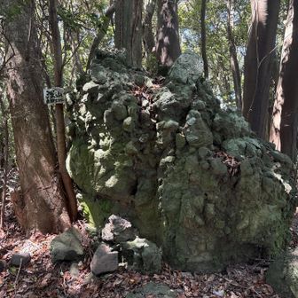 悪路と不明瞭な道に速度を上げられないまま、次のピークに到達。巨石あり。