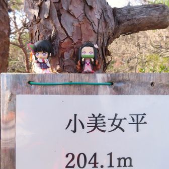 美少女の栗花落カナヲと 竈門禰豆子
ポケモンでなくてスミマセン🙏