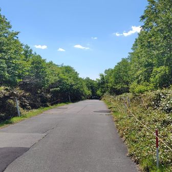 登山靴の紐を緩めて 頑張って歩きましょう💪
この往復4kmの歩行が無かったらと思うのが素人かな