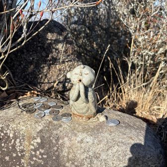 こちらにも❤️      
口を開けて、お経を唱えてる　レア🙏