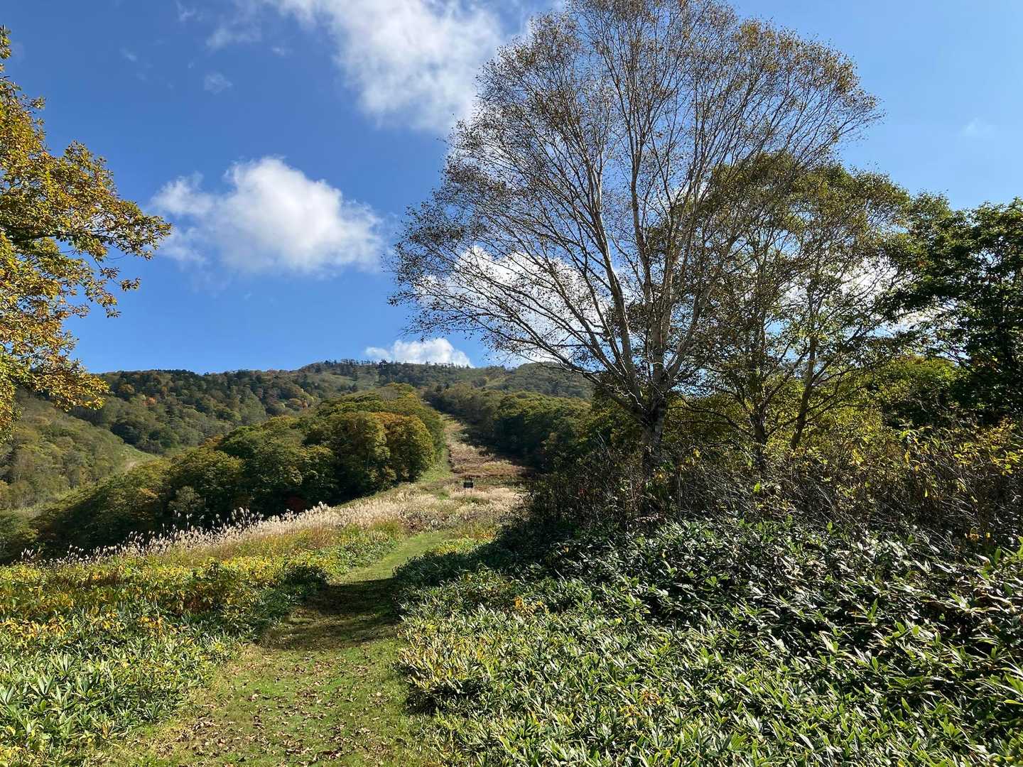 ゲレンデに出た