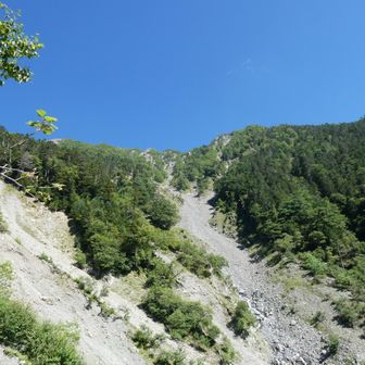 長い〜