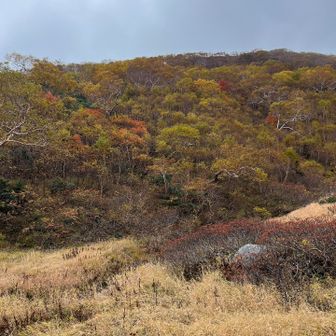 ぐるりと紅葉に囲まれる