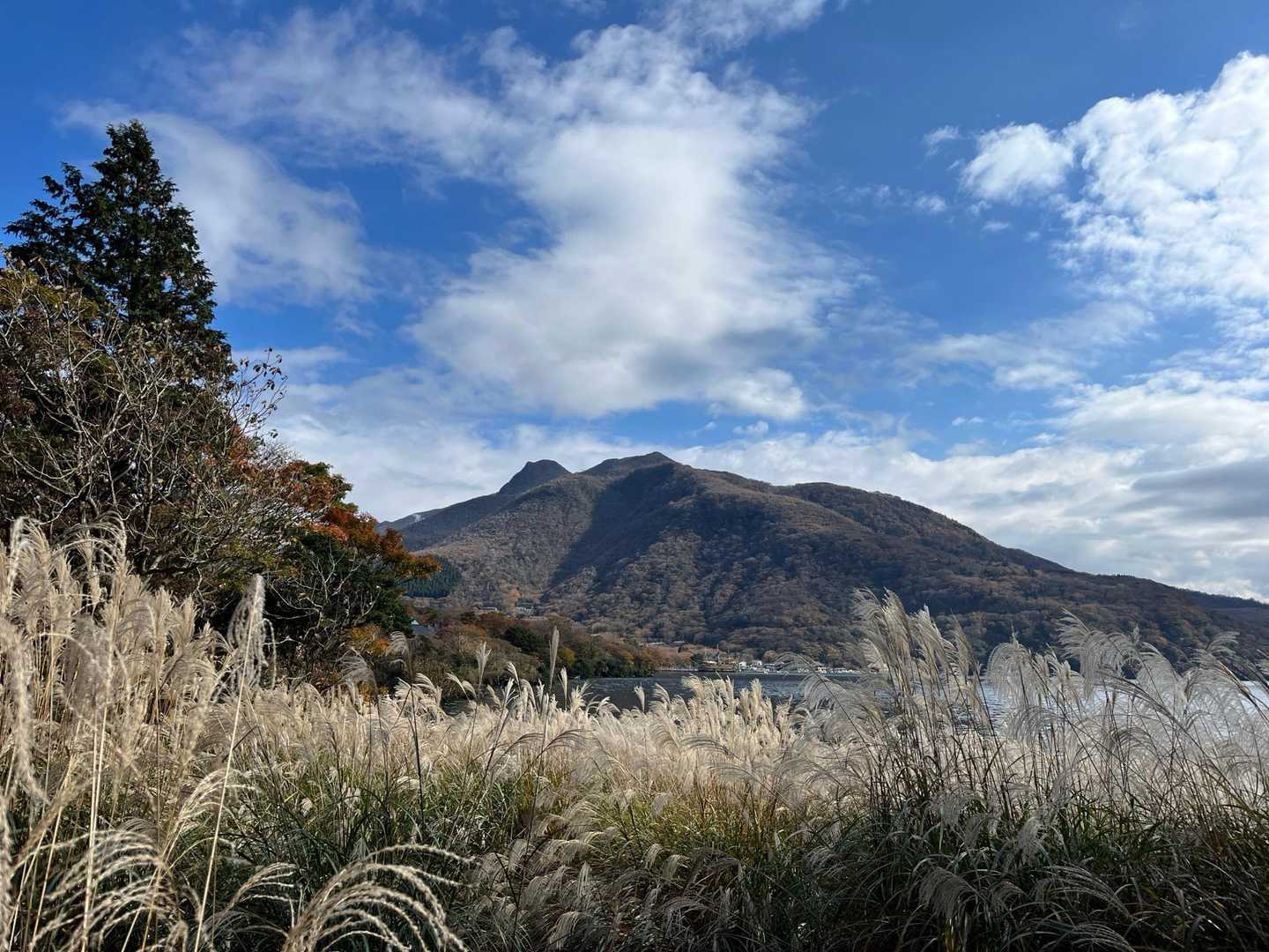 芦ノ湖西岸遊歩道の写真