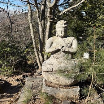 阿字山にいらっしゃいます