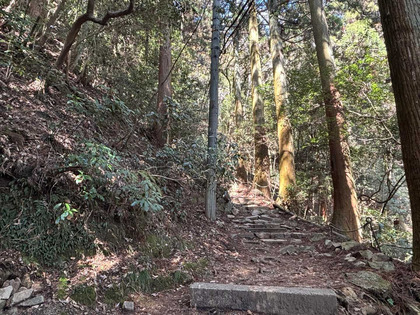 「森の道も好きなんですよー」
「心地よくて良いですよね〜」

…私が摩耶山に通うようになったきっかけ、
昨年5月のトークショーに出演されていた
平民金子さんの新刊『幸あれ、知らんけど』が、
先週、発売されたようです。

(ショーの内容はモーメントに掲載しています)