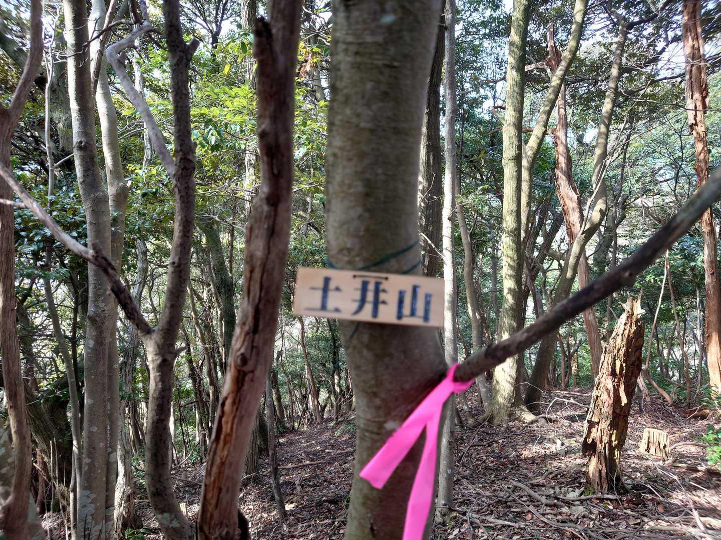 土井山