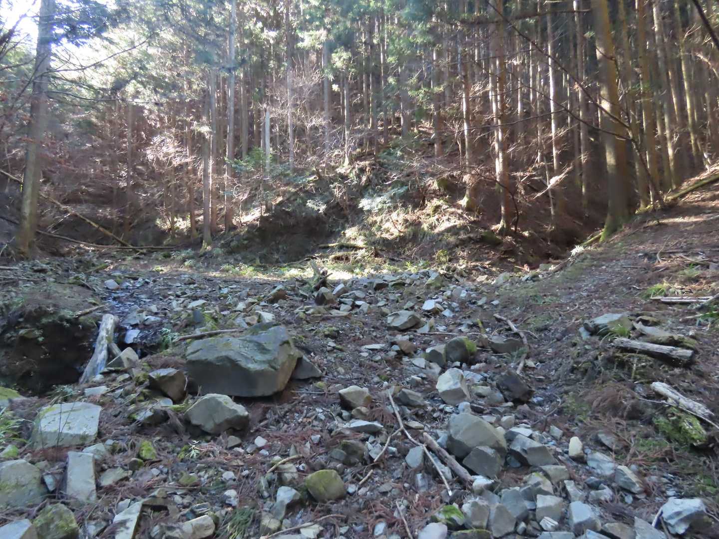 ここまで沢沿いの林道跡みたいな道を緩く登ります。ここで沢と分かれて、右側の坂道を登って行きます。