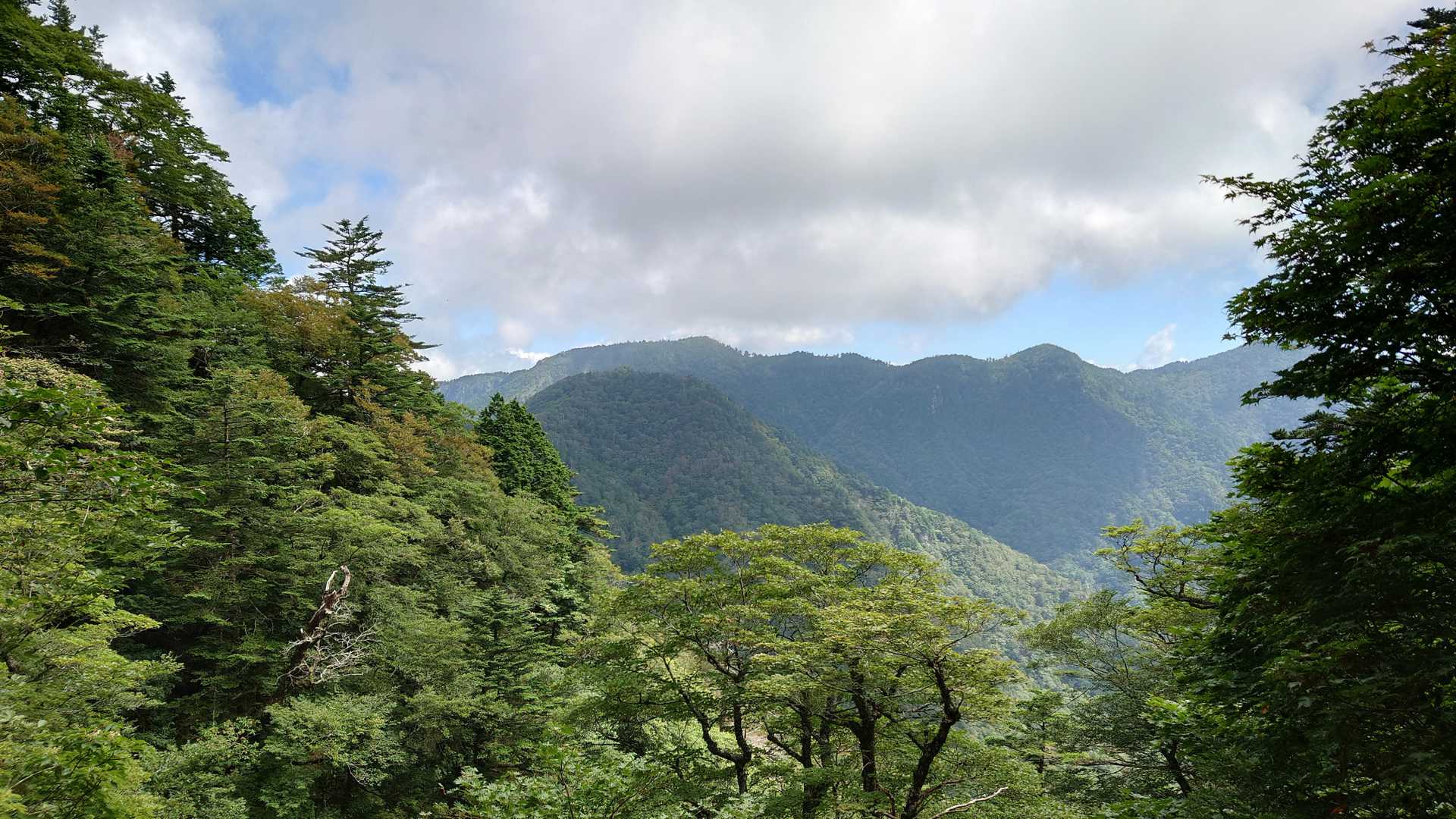 ここで山上ヶ岳山頂を見る事ができました！