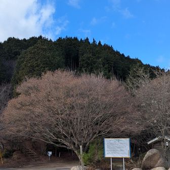 蛇円山山頂
も少し