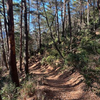 こっちの道はめっちゃ歩きやすい！