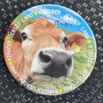 豆腐チャーハン